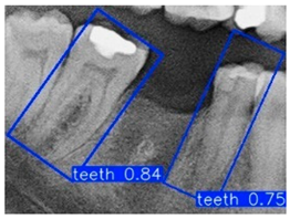 Diagnostics 15 02598 i001