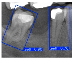 Diagnostics 15 02598 i002