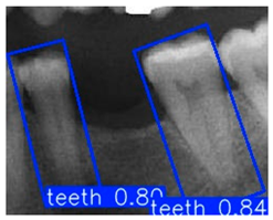 Diagnostics 15 02598 i004