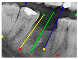 Diagnostics 15 02598 i007