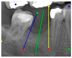 Diagnostics 15 02598 i008