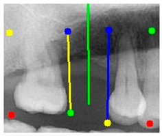 Diagnostics 15 02598 i009