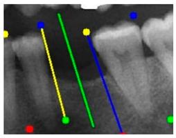 Diagnostics 15 02598 i010