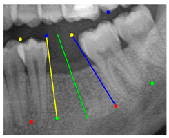 Diagnostics 15 02598 i011
