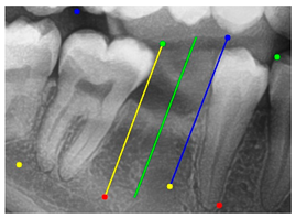 Diagnostics 15 02598 i012