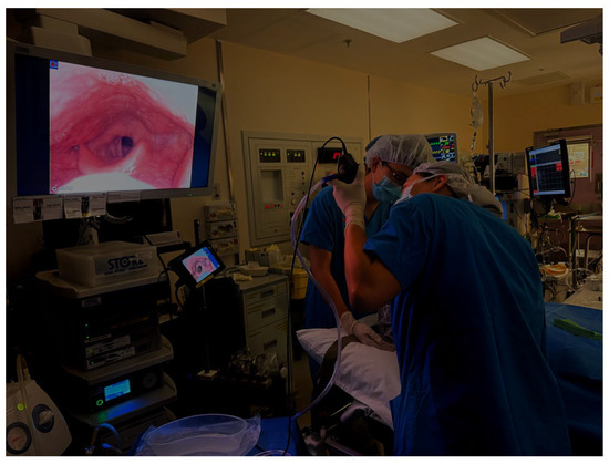 Diagnostics 15 02614 g001