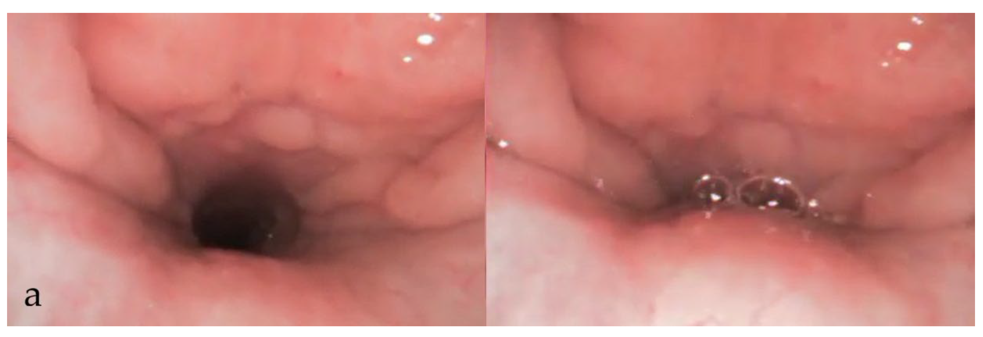 Diagnostics 15 02614 g002a