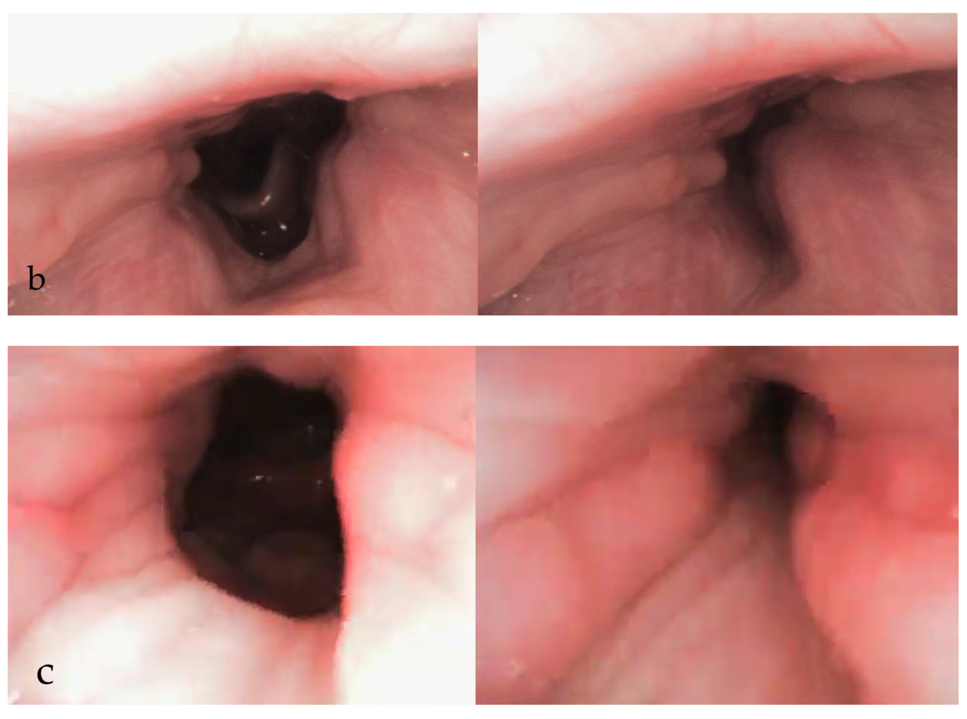 Diagnostics 15 02614 g002b