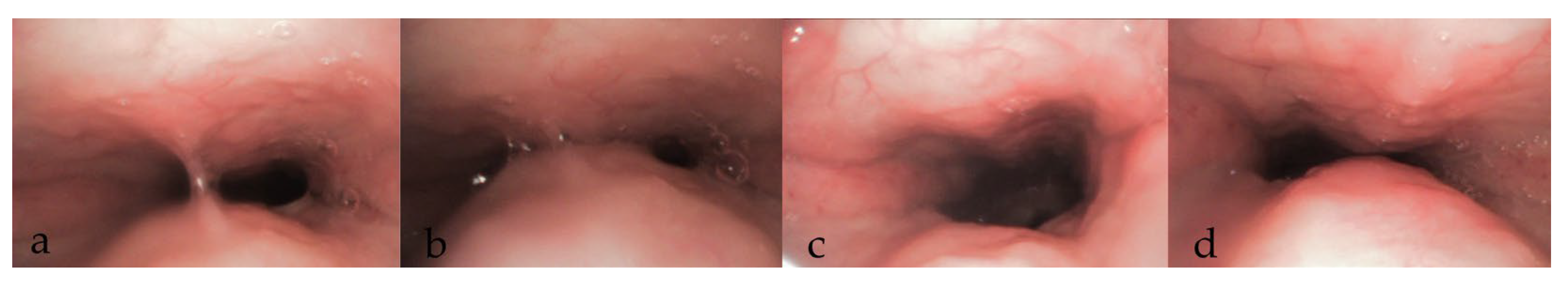 Diagnostics 15 02614 g003