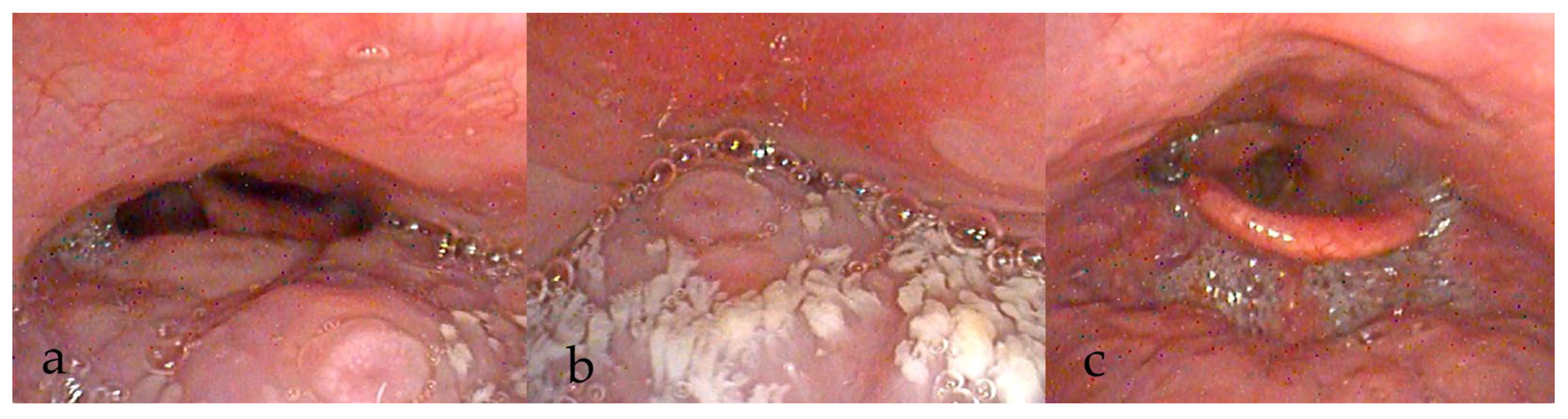 Diagnostics 15 02614 g004