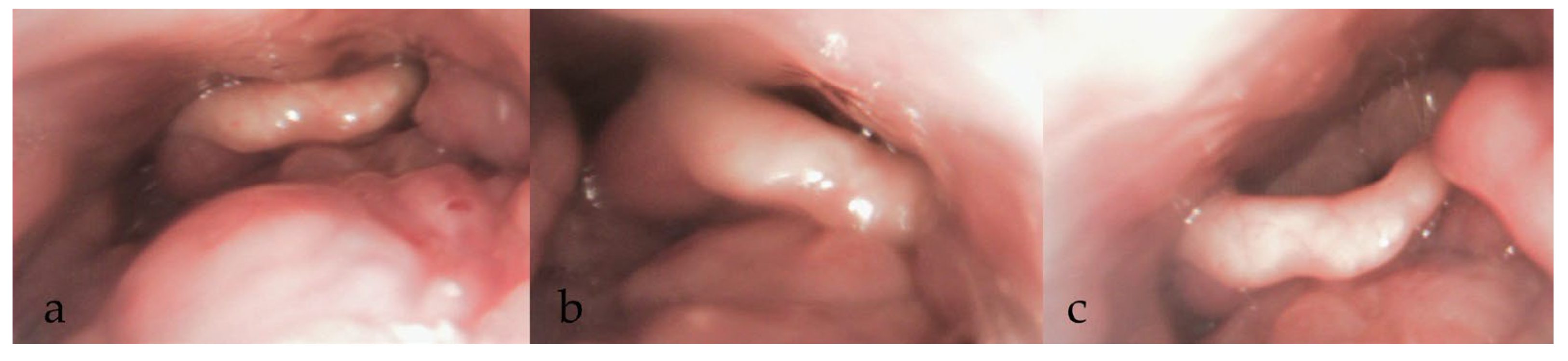 Diagnostics 15 02614 g006