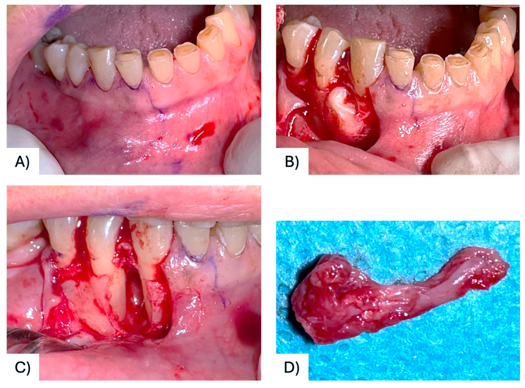 Diagnostics 15 02616 g003