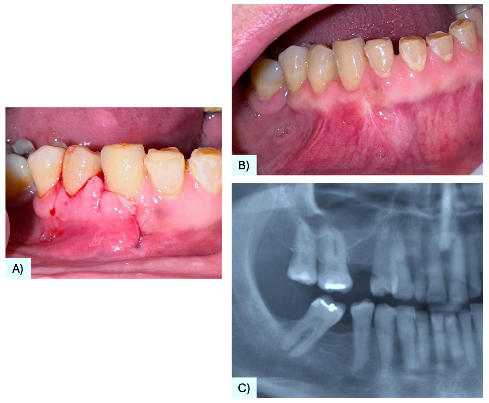 Diagnostics 15 02616 g005