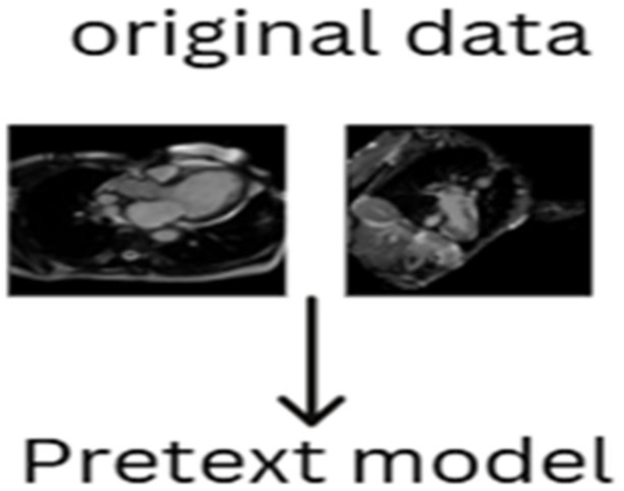 Diagnostics 15 02618 g002 Diagnostics 15 02618 g002