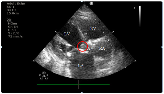 Diagnostics 15 02620 g002