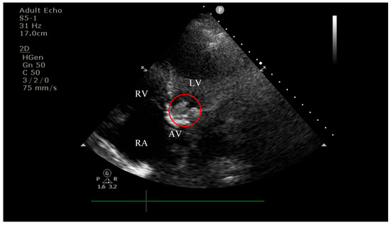 Diagnostics 15 02620 g003