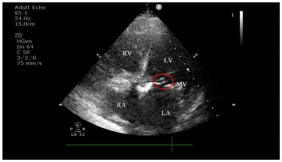 Diagnostics 15 02620 g004