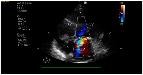 Diagnostics 15 02620 g005