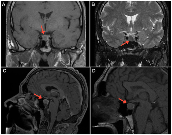Diagnostics 15 02623 g001
