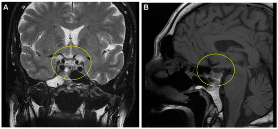 Diagnostics 15 02623 g002