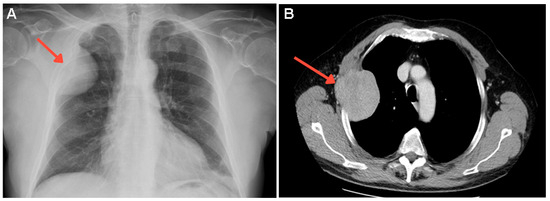 Diagnostics 15 02623 g003