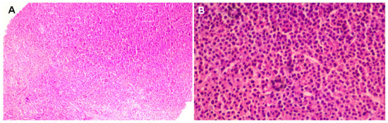 Diagnostics 15 02623 g004