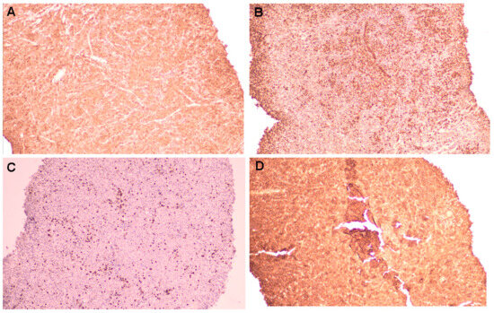 Diagnostics 15 02623 g005