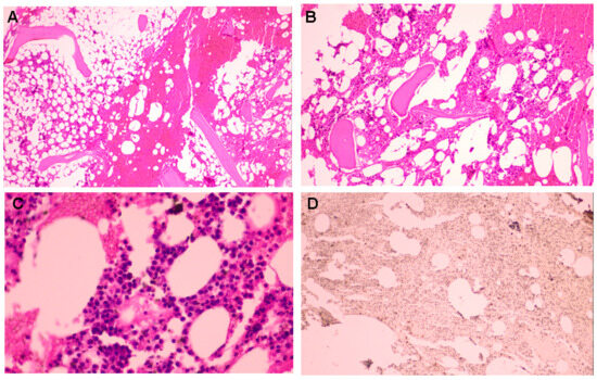 Diagnostics 15 02623 g006