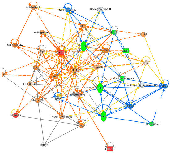 Diagnostics 15 02649 g003