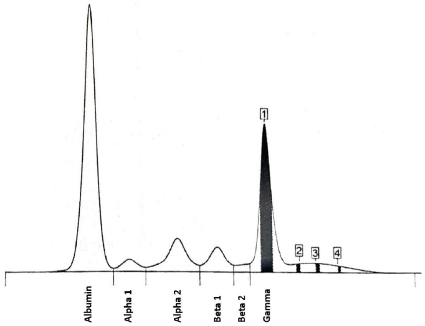 Diagnostics 15 02654 g002