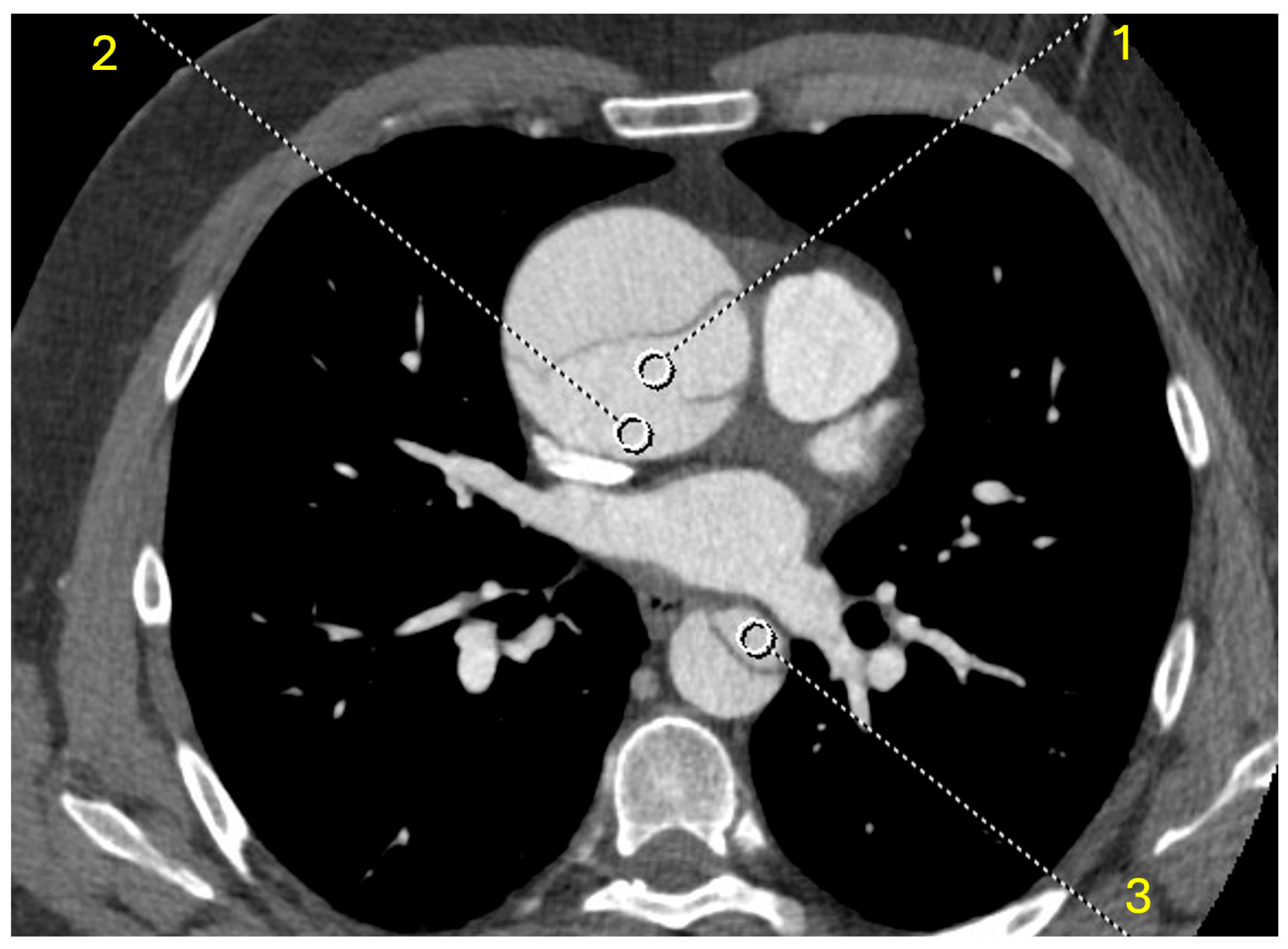 Diagnostics 15 02655 g001