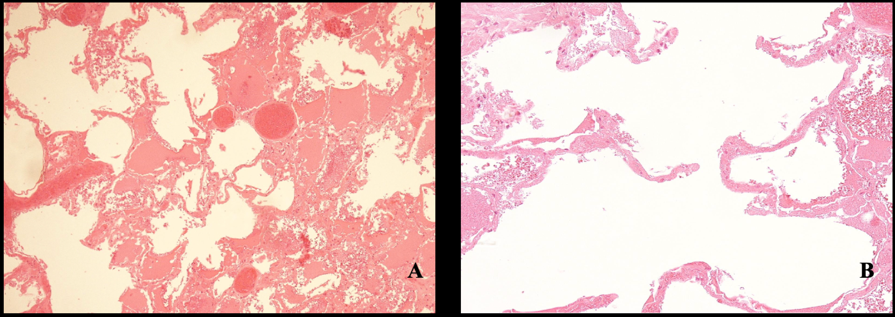 Diagnostics 15 02664 g004