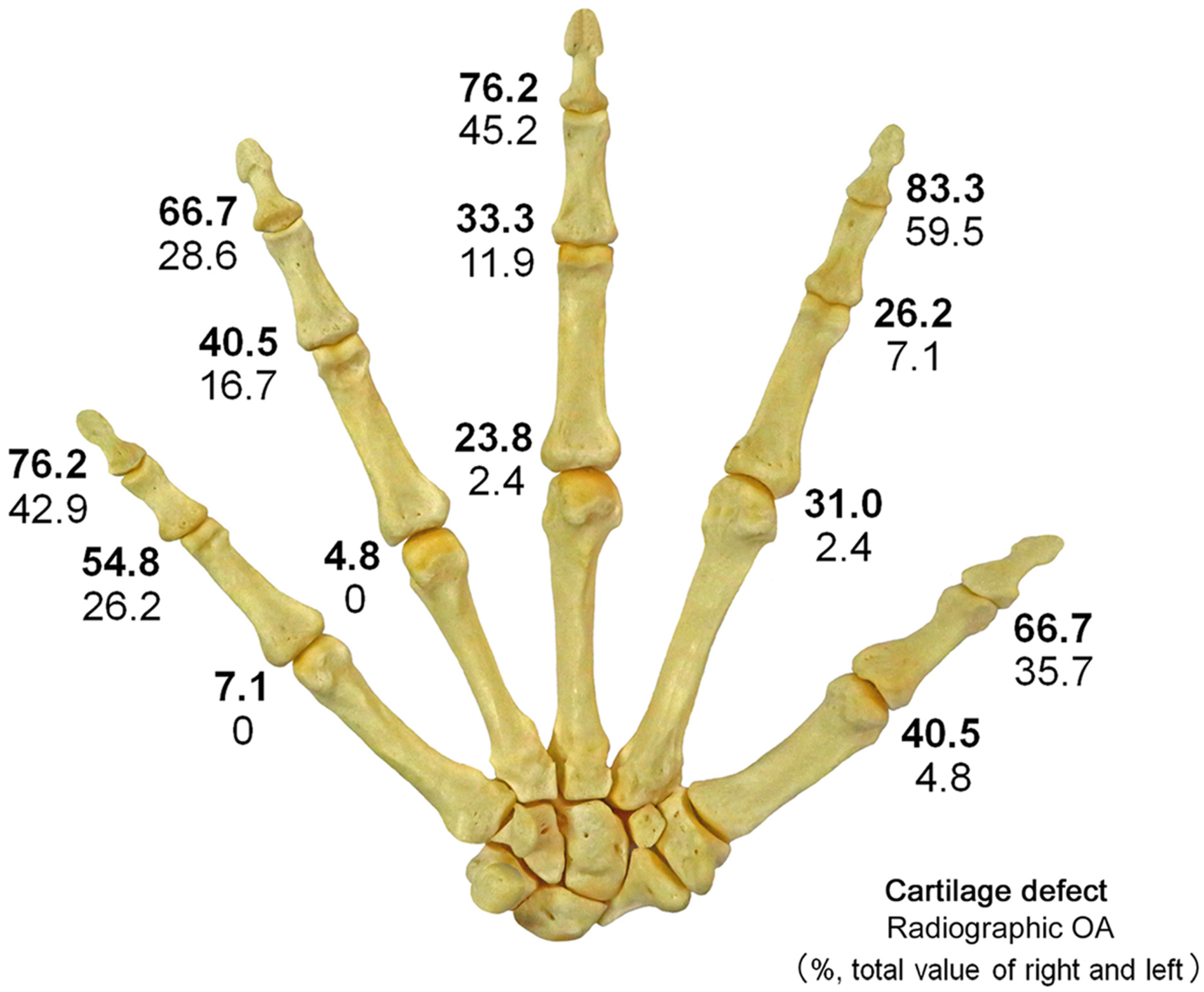 Diagnostics 15 02669 g003