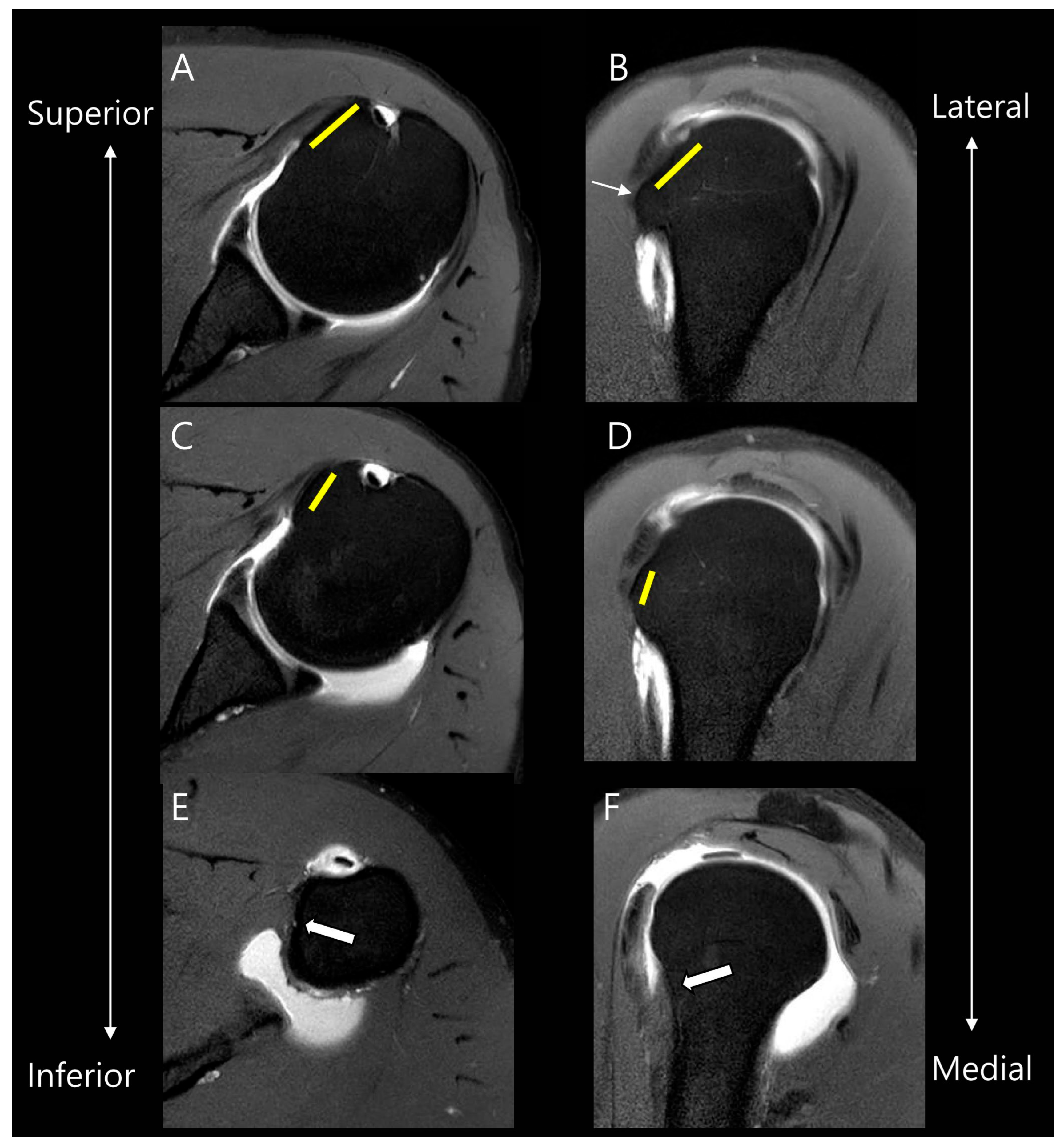 Diagnostics 15 02670 g002