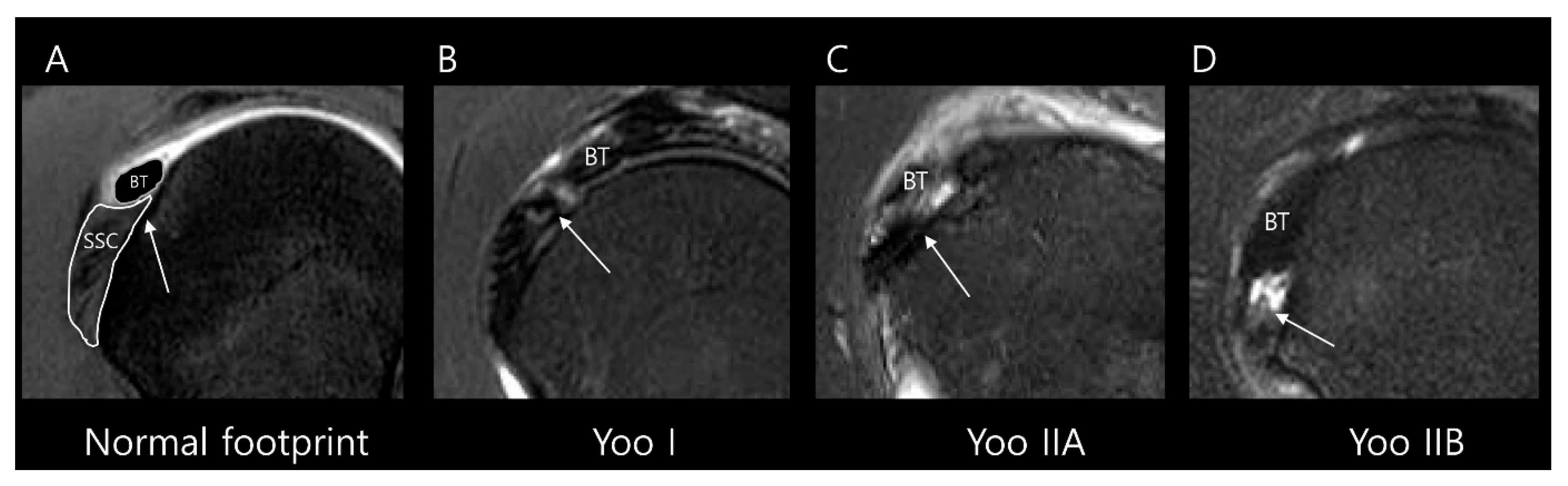 Diagnostics 15 02670 g003