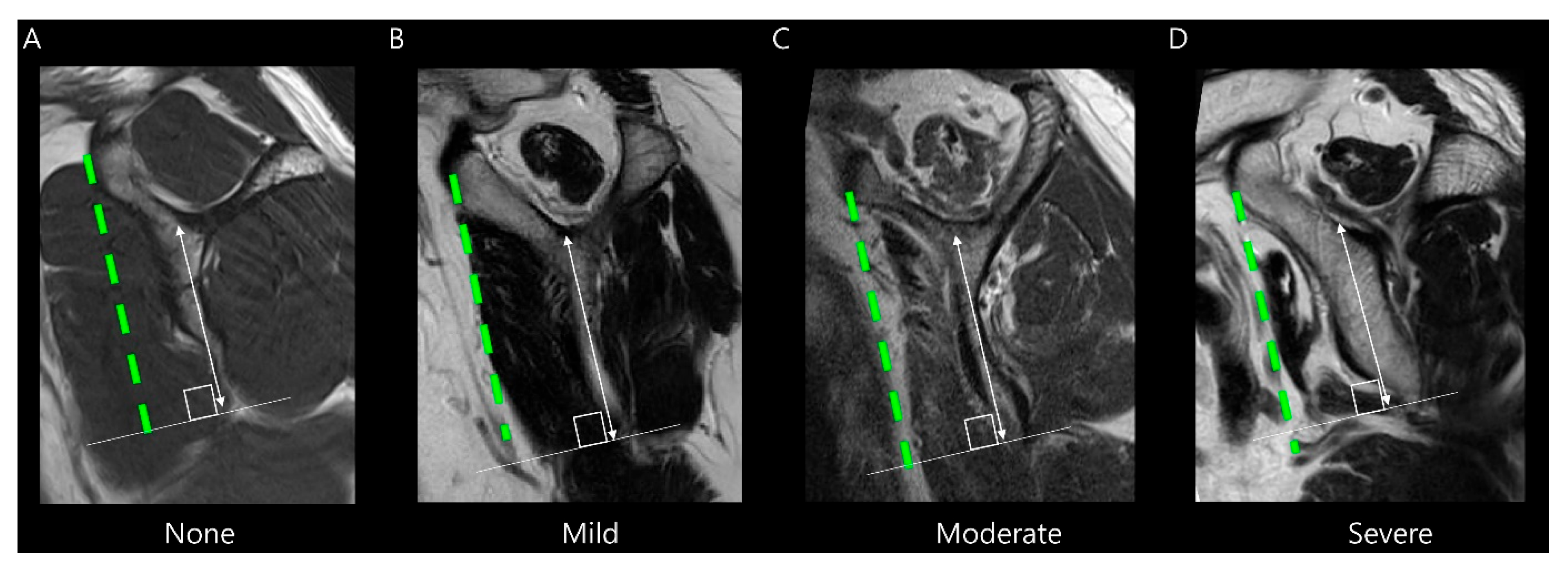 Diagnostics 15 02670 g004