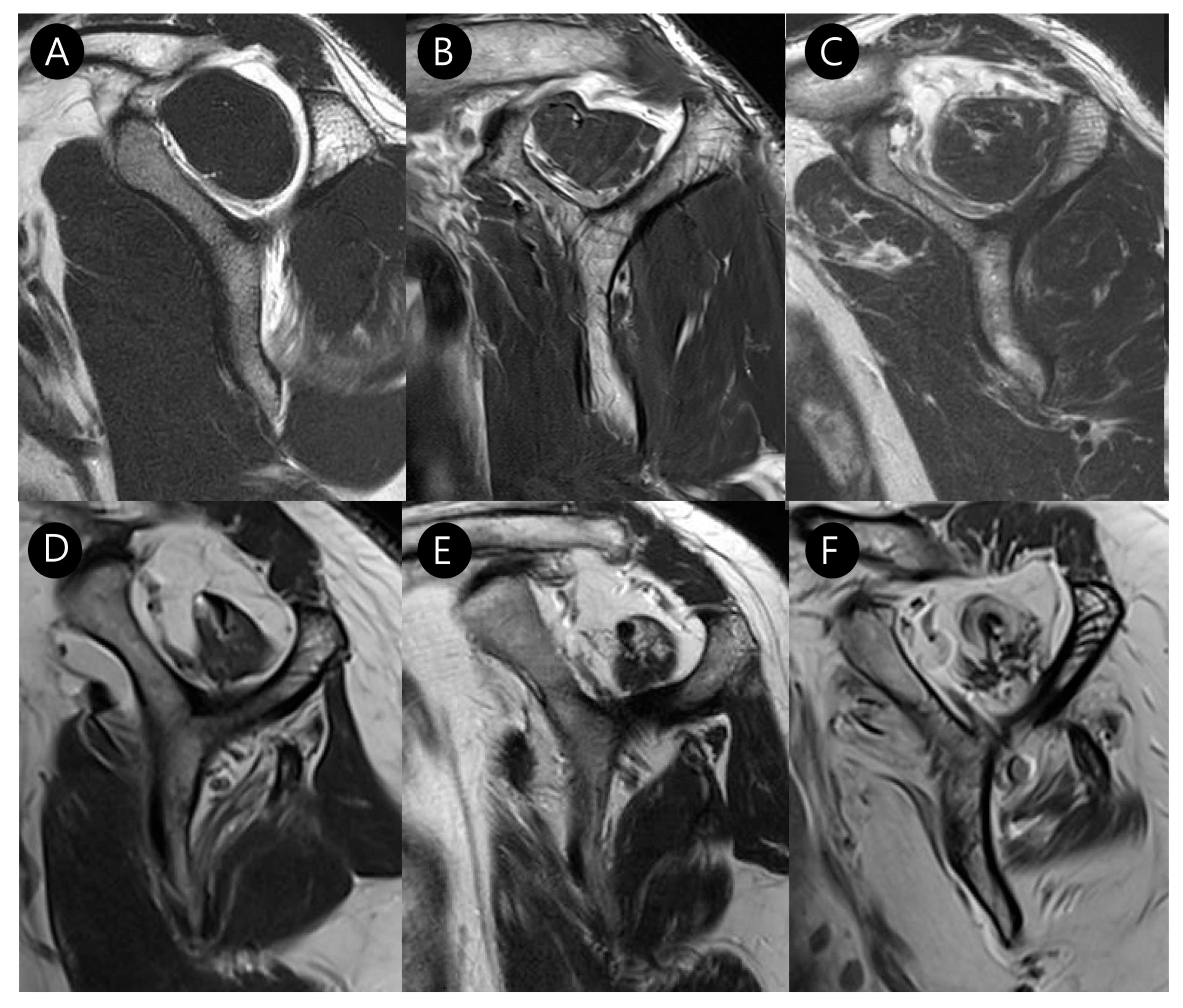 Diagnostics 15 02670 g005