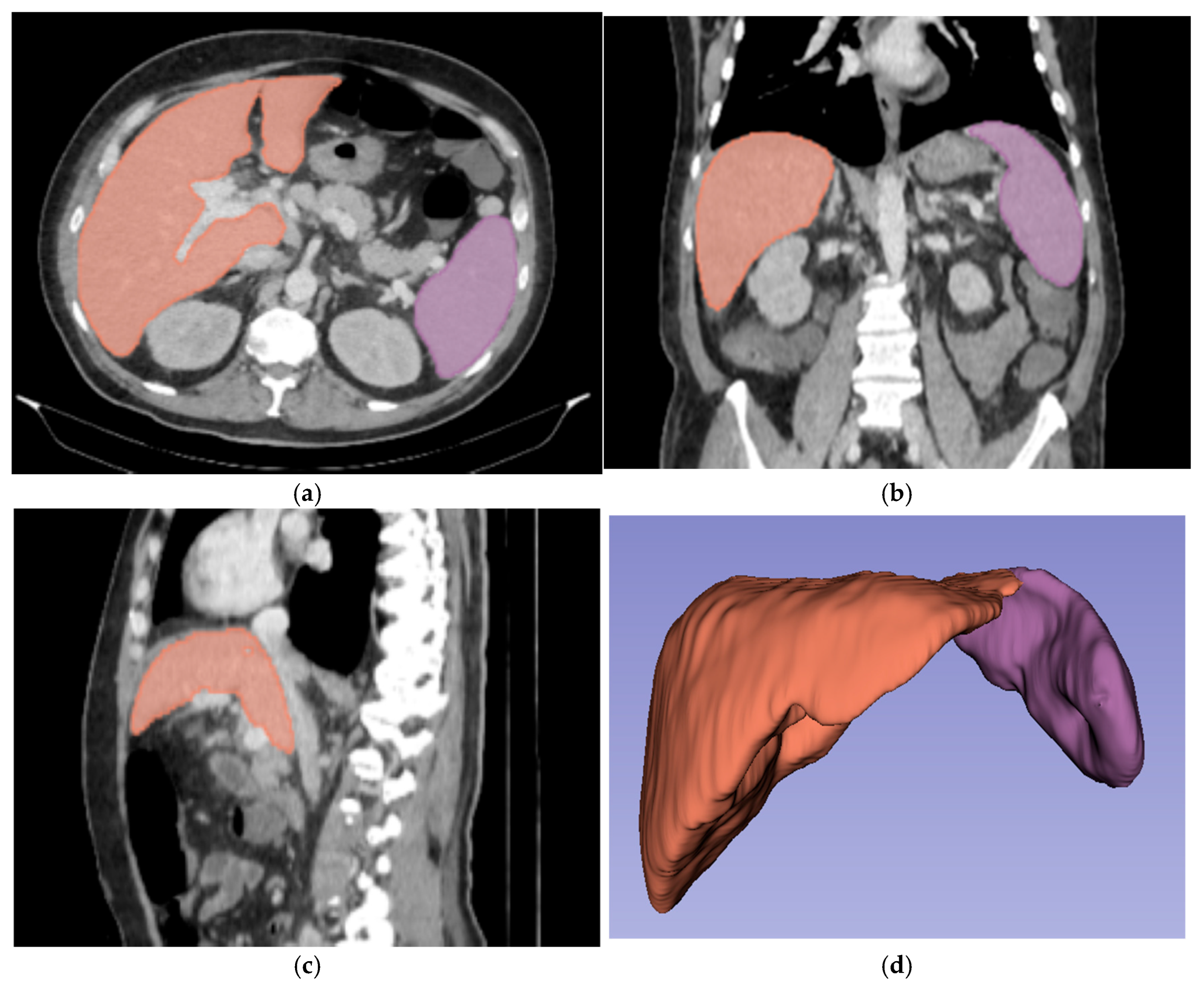 Diagnostics 15 02671 g002 Diagnostics 15 02671 g002