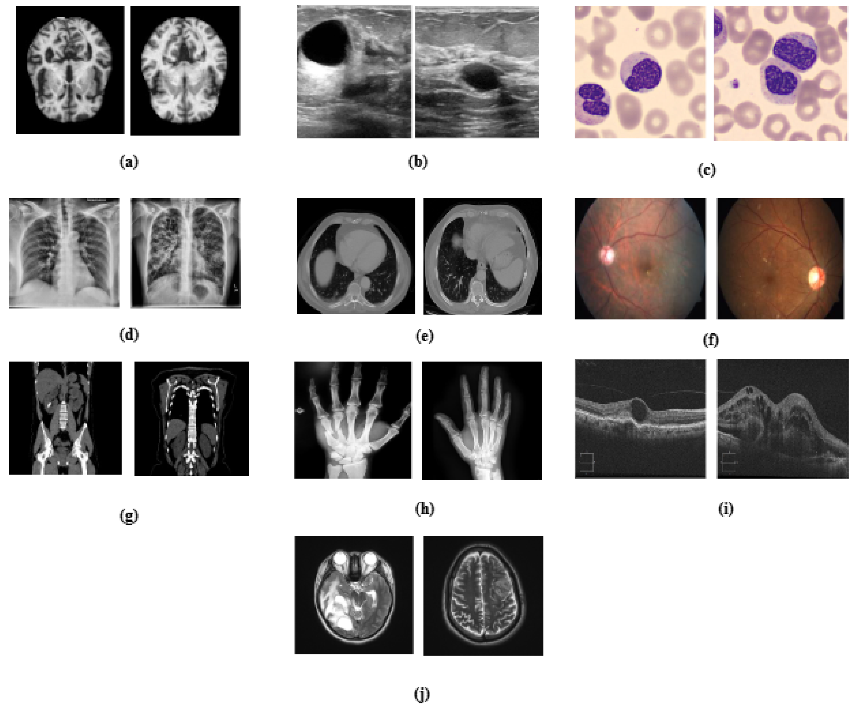 Diagnostics 15 02673 g001
