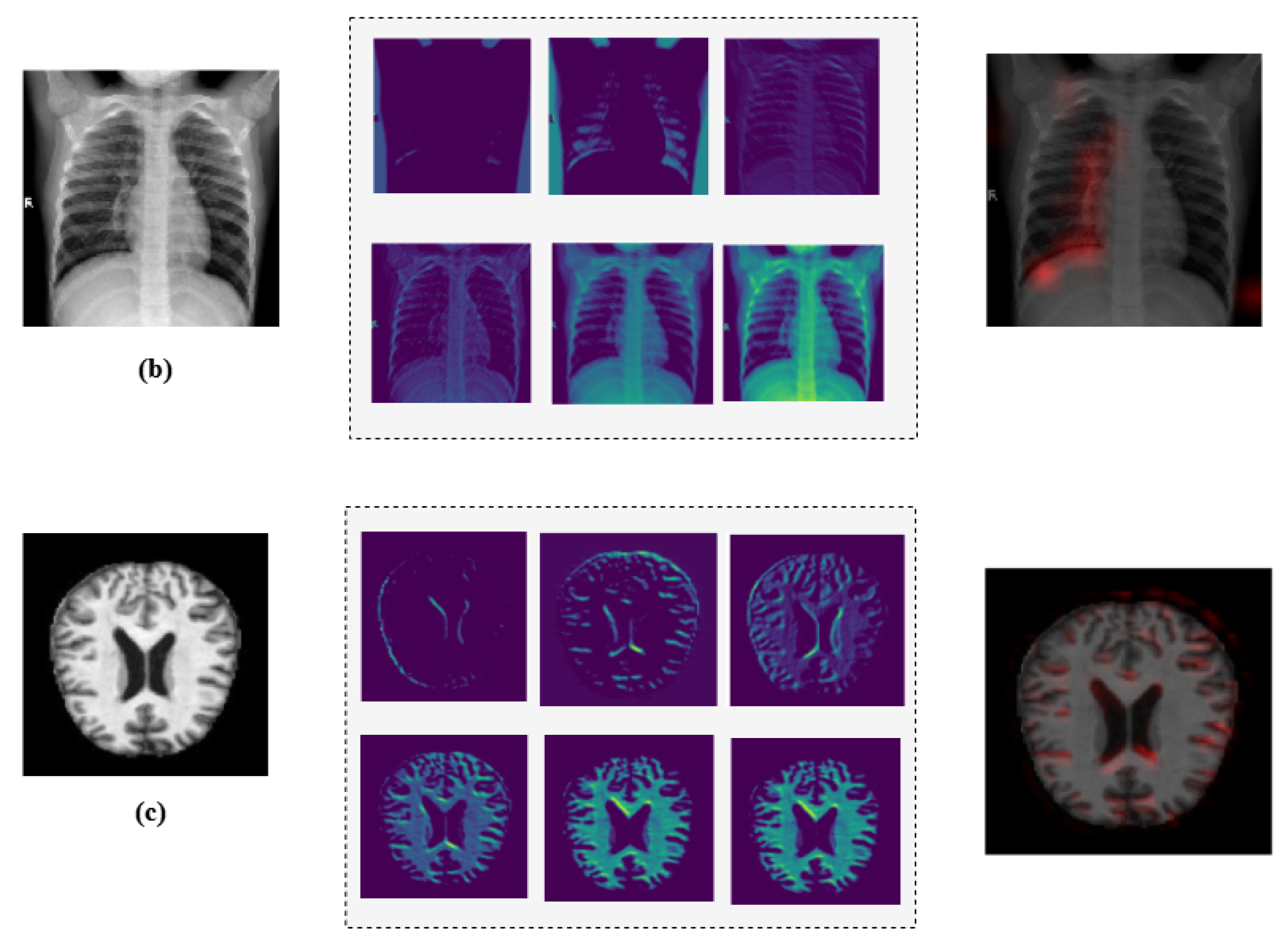 Diagnostics 15 02673 g024b
