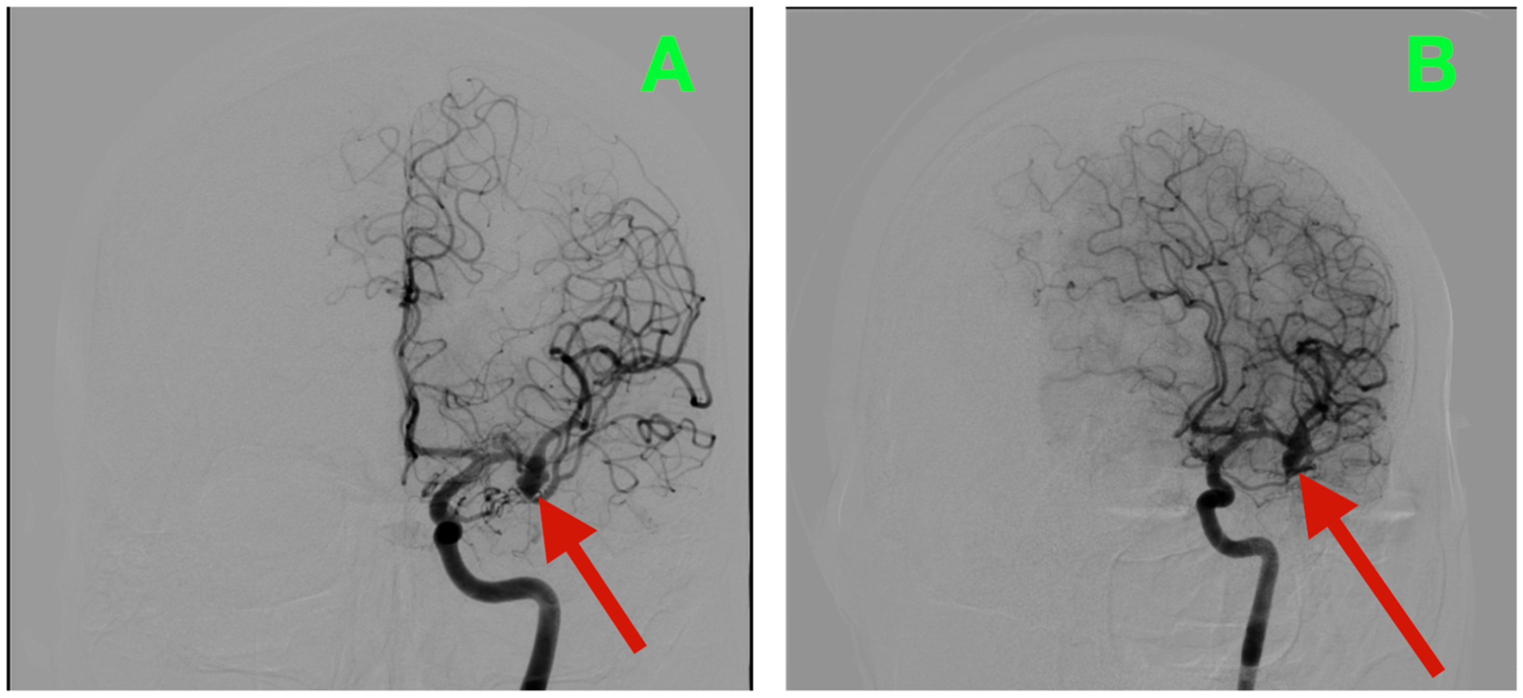 Diagnostics 15 02678 g001
