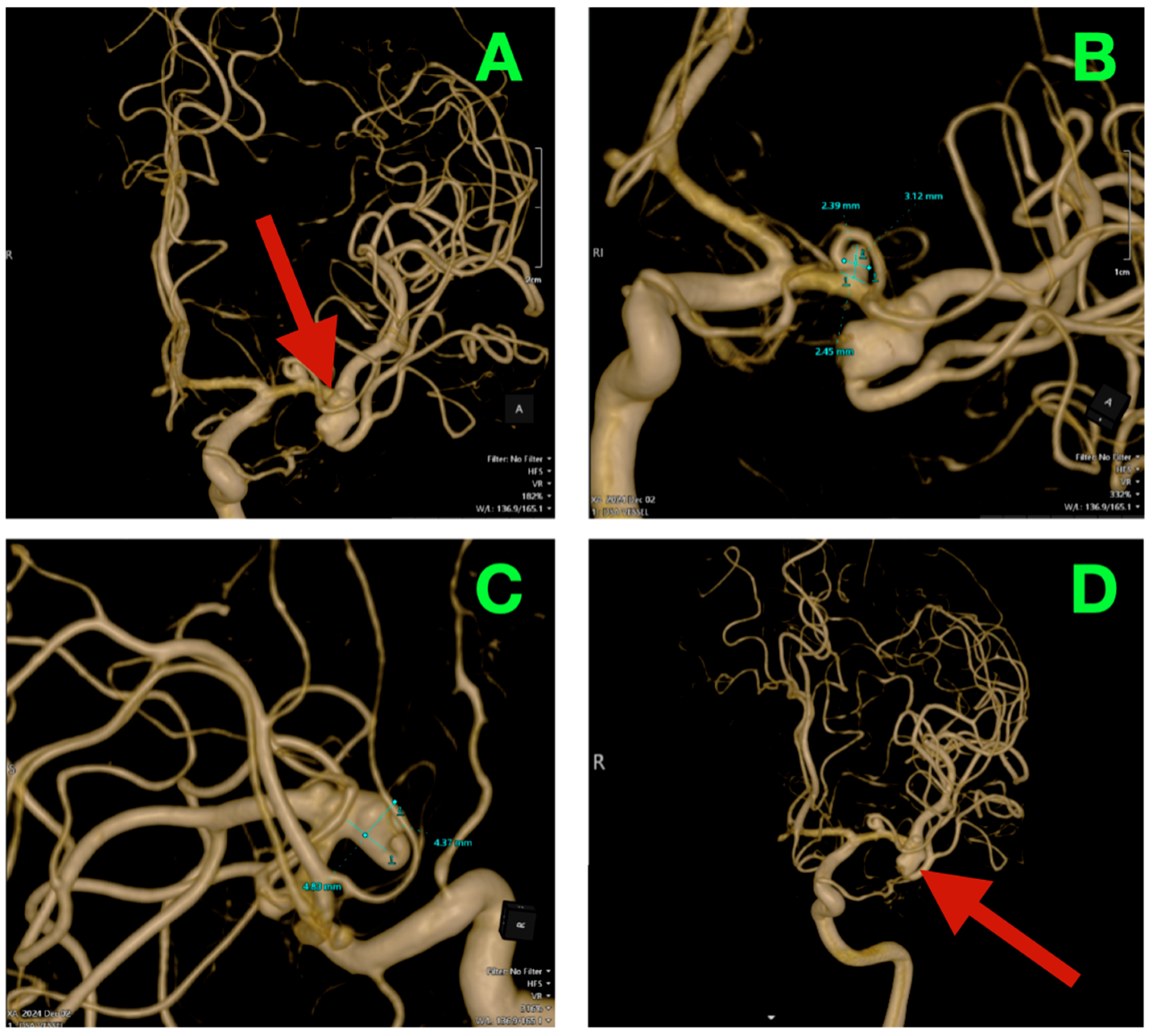 Diagnostics 15 02678 g002