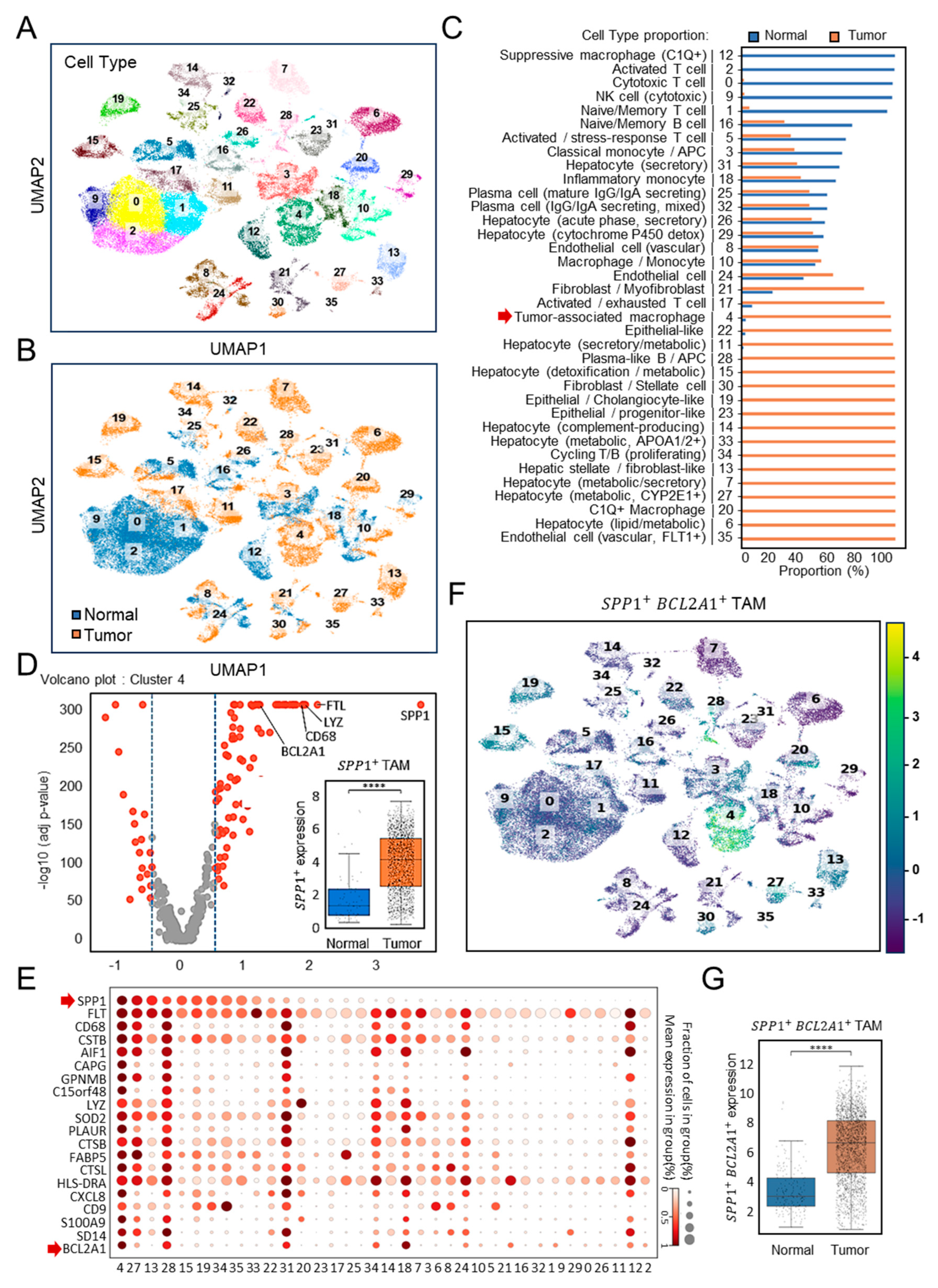 Diagnostics 15 02680 g001