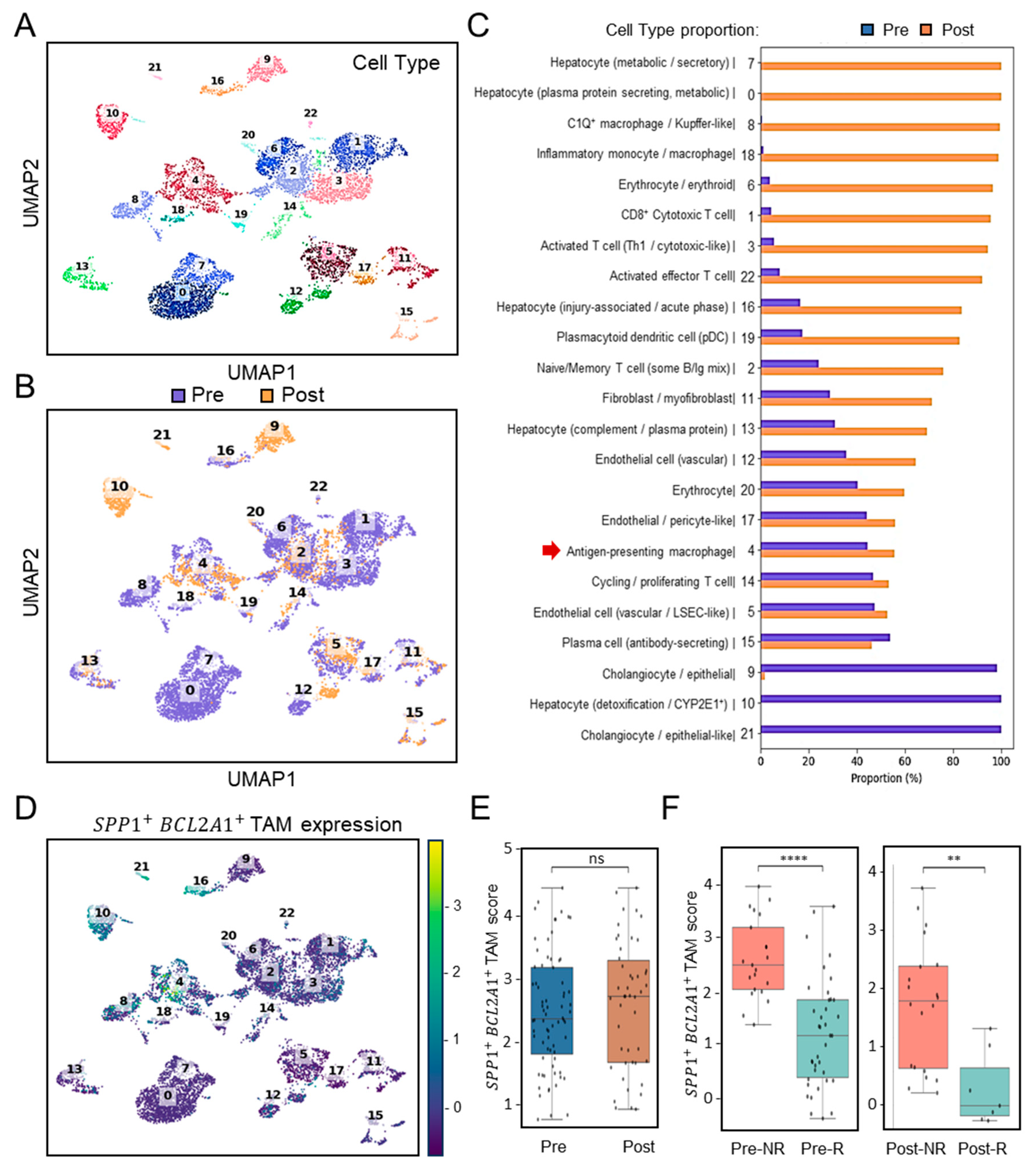 Diagnostics 15 02680 g002