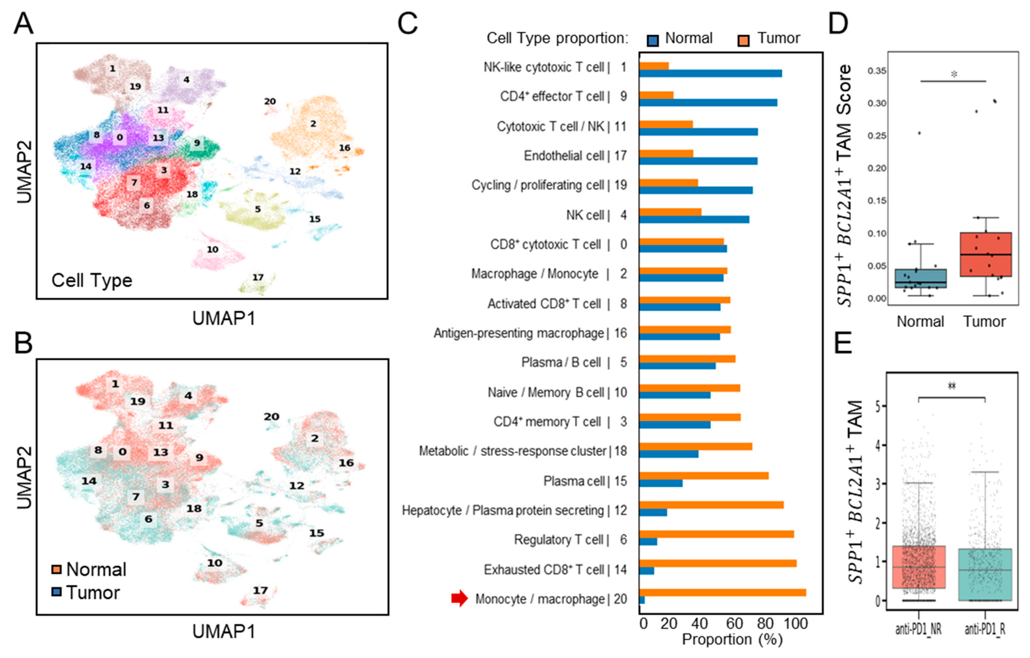 Diagnostics 15 02680 g003