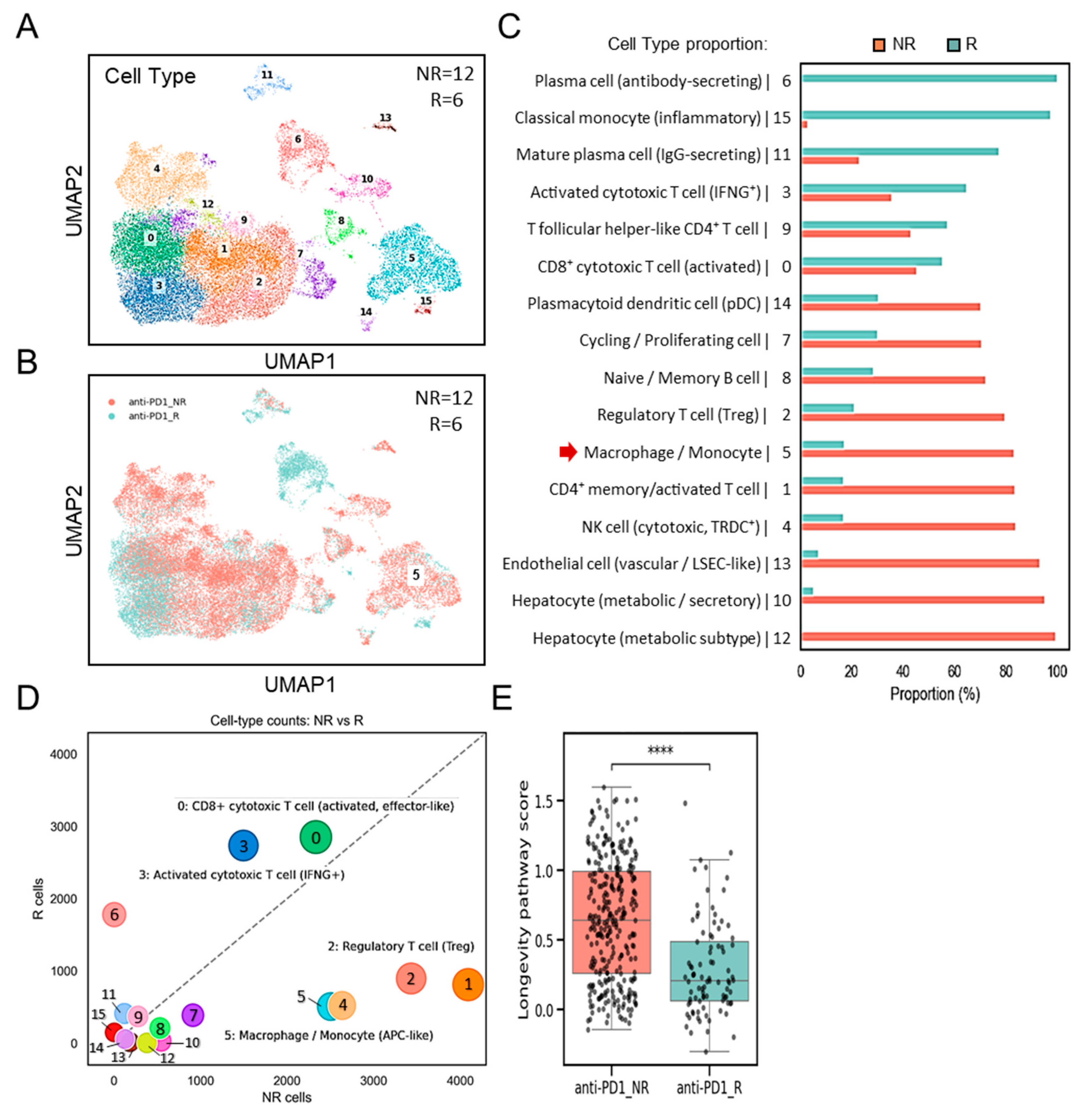 Diagnostics 15 02680 g004