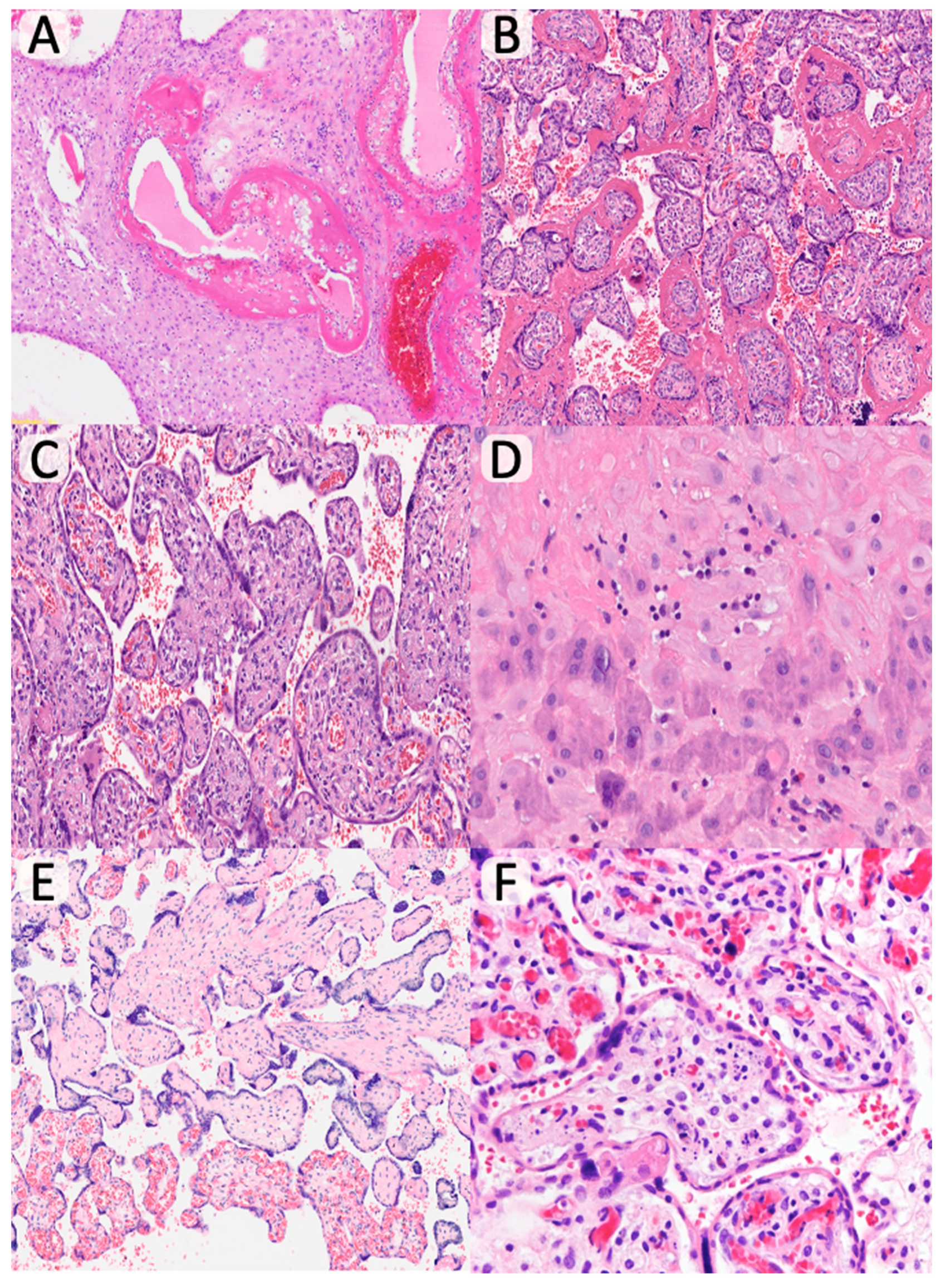 Diagnostics 15 02681 g002