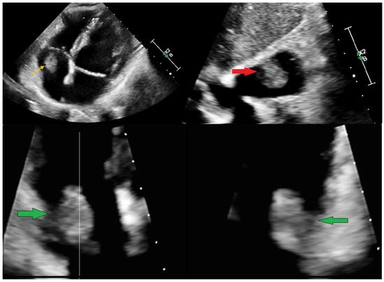 Diagnostics 15 02683 g001