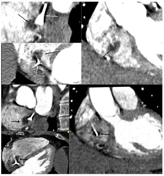 Diagnostics 15 02683 g002