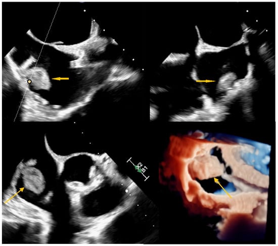 Diagnostics 15 02683 g003